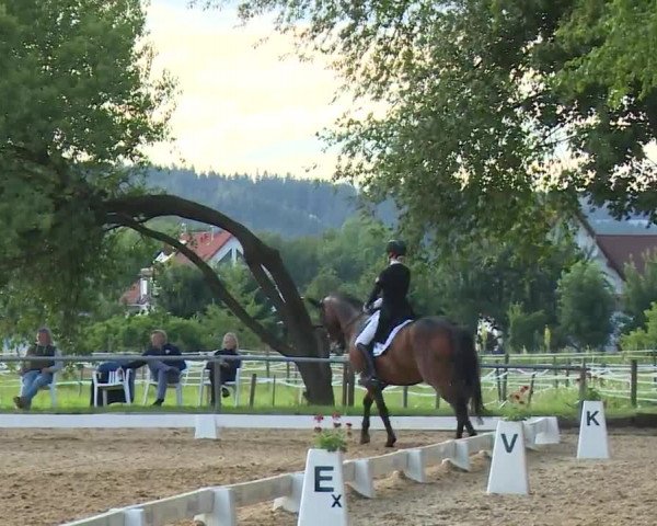 Reitturnier Babenhausen/Schw. 2020