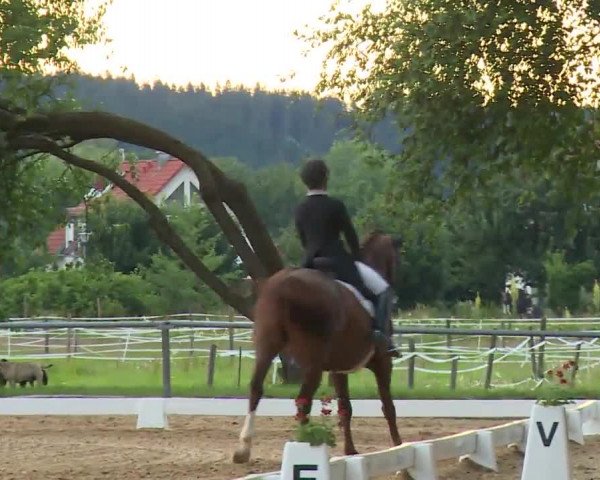 Reitturnier Babenhausen/Schw. 2020