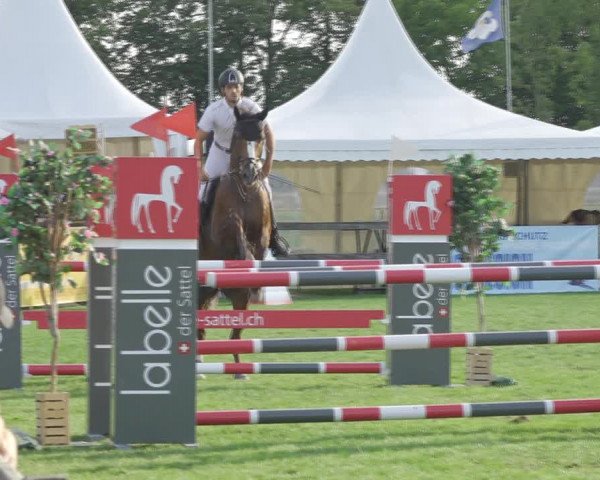 Reitturnier Kappelen-Lyss 2020