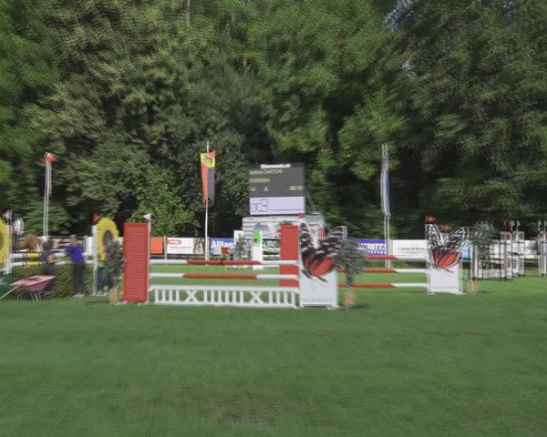 Reitturnier Kappelen-Lyss 2020