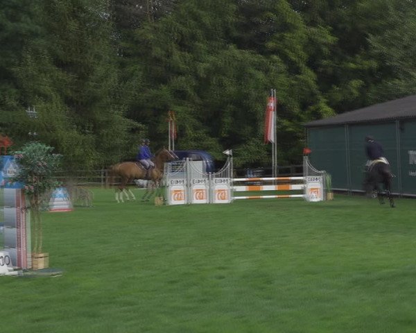Reitturnier Kappelen-Lyss 2020
