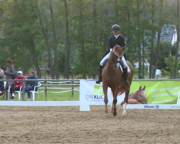 Reitturnier Babenhausen/Schw. 2020