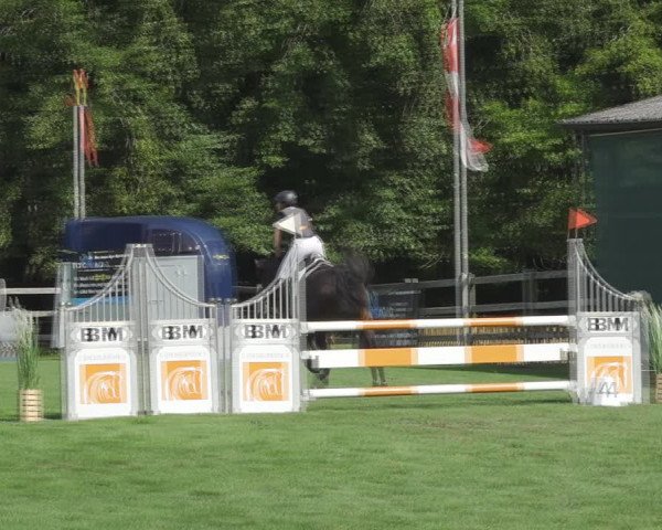Reitturnier Kappelen-Lyss 2020