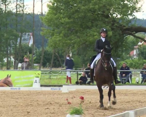 Reitturnier Babenhausen/Schw. 2020