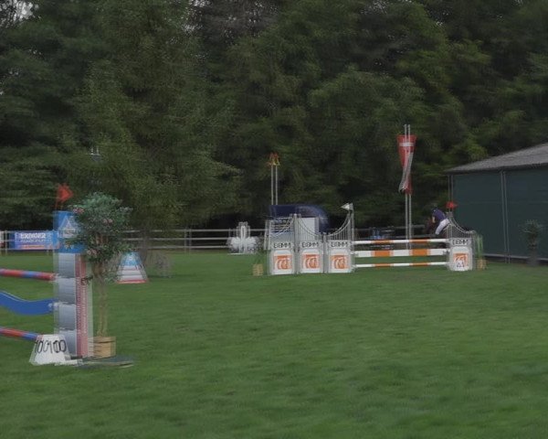 Reitturnier Kappelen-Lyss 2020