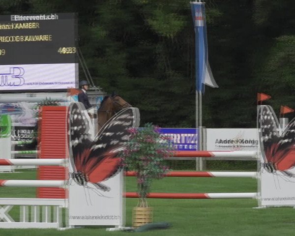 Reitturnier Kappelen-Lyss 2020