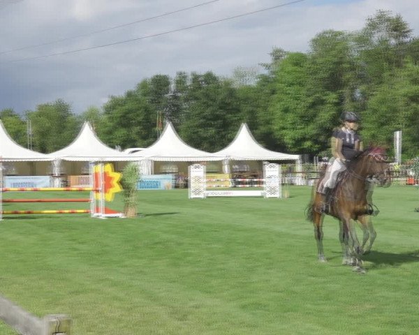 Reitturnier Kappelen-Lyss 2020