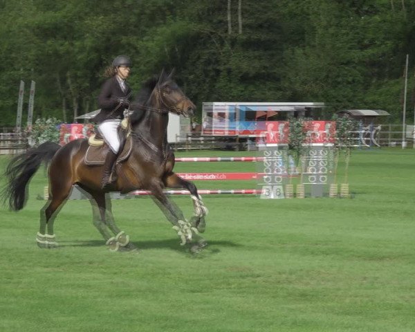 Reitturnier Kappelen-Lyss 2020