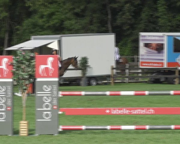 Reitturnier Kappelen-Lyss 2020