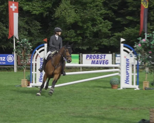 Reitturnier Kappelen-Lyss 2020