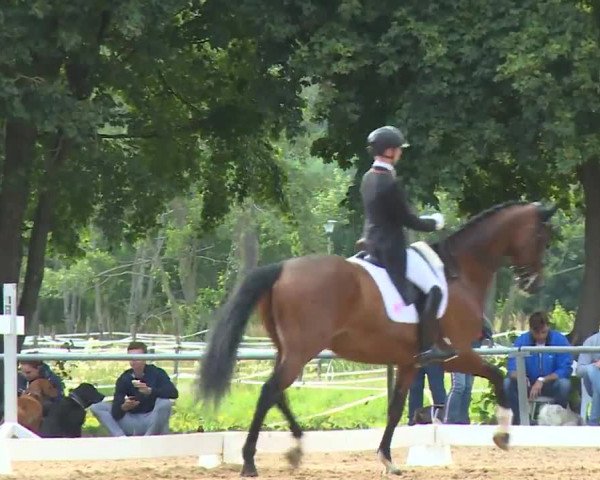 Reitturnier Babenhausen/Schw. 2020