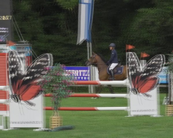 Reitturnier Kappelen-Lyss 2020