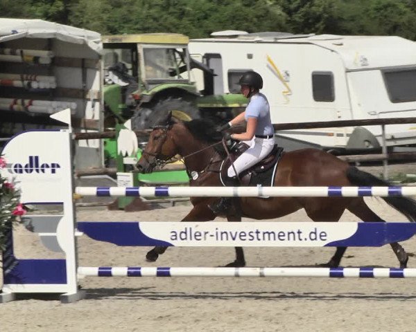 Reitturnier Worms-Pfeddersheim / Reitsportanlage Wittemer 2020