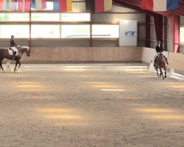 Reitturnier Süderlügum 2020