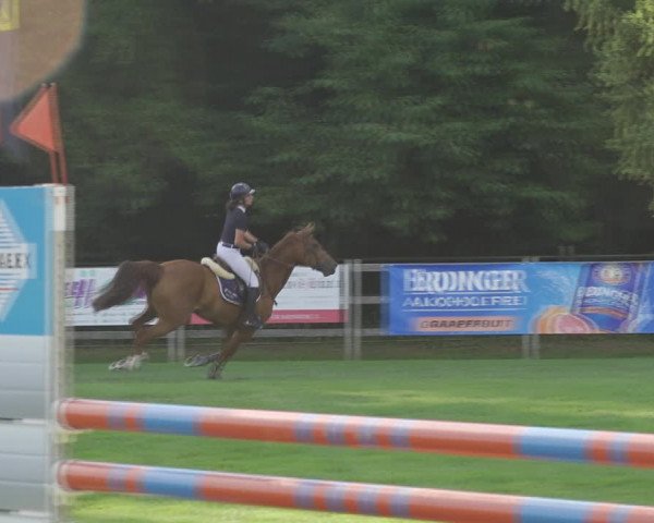 Reitturnier Kappelen-Lyss 2020