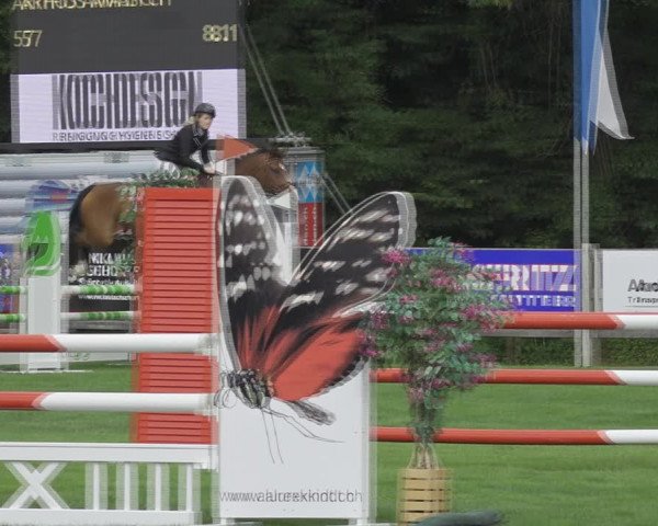 Reitturnier Kappelen-Lyss 2020