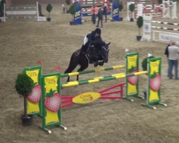 broodmare Florentina (Rhinelander, 2003, from Florestan I)