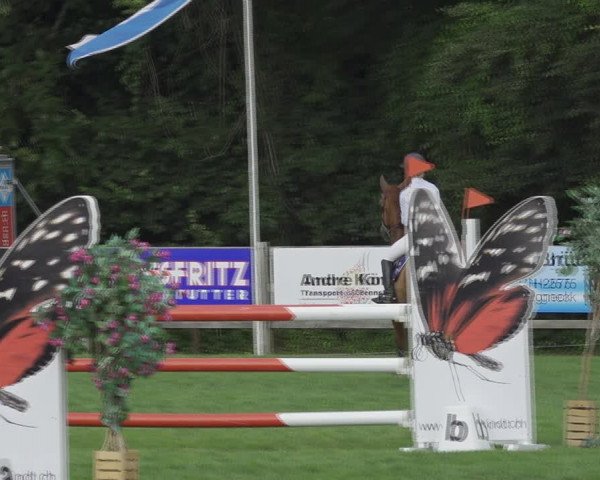 Reitturnier Kappelen-Lyss 2020