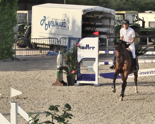 Reitturnier Worms-Pfeddersheim / Reitsportanlage Wittemer 2020