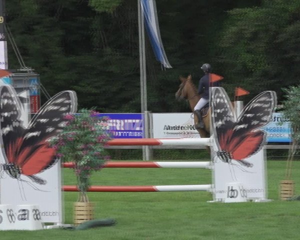 Reitturnier Kappelen-Lyss 2020