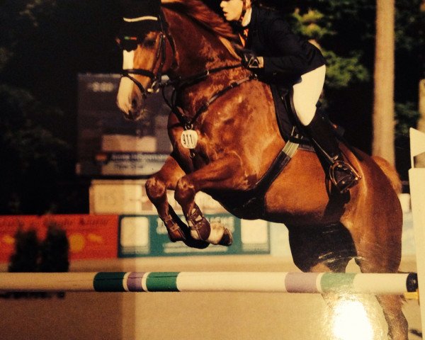Springpferd Fire-Star (Oldenburger, 2008, von For Pleasure)
