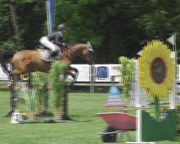 Reitturnier Kappelen-Lyss 2020