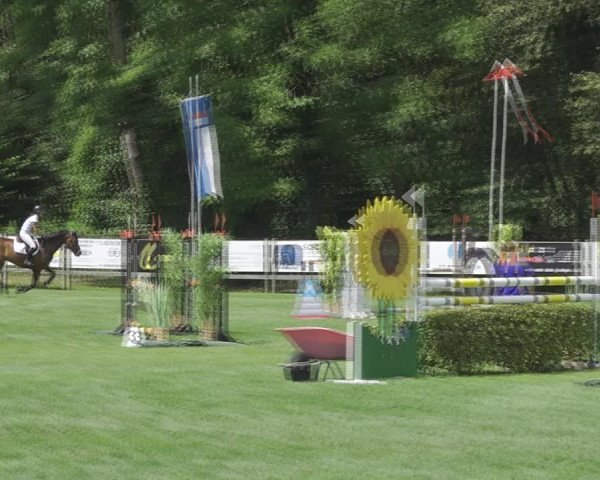 Reitturnier Kappelen-Lyss 2020
