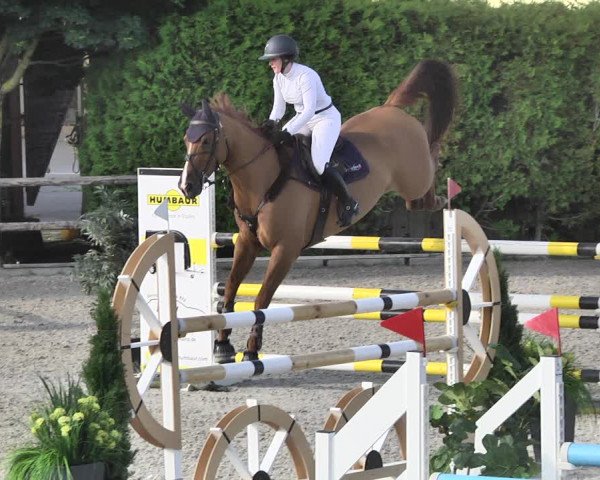 Reitturnier Worms-Pfeddersheim / Reitsportanlage Wittemer 2020