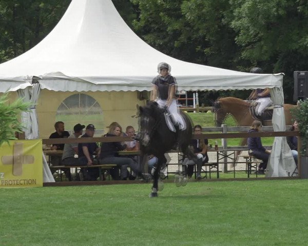 Reitturnier Kappelen-Lyss 2020