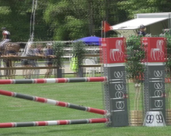 Reitturnier Kappelen-Lyss 2020