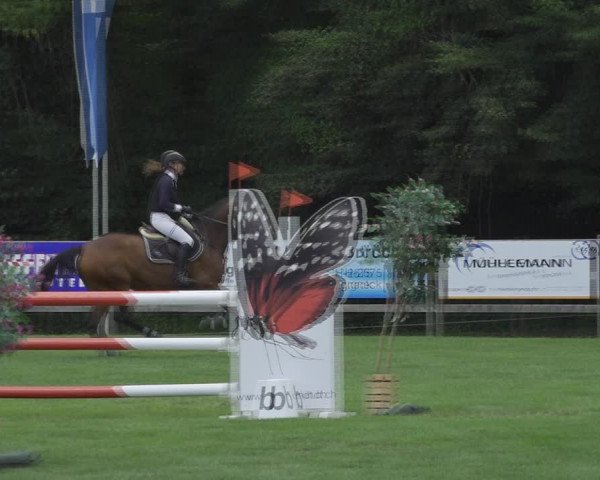 Reitturnier Kappelen-Lyss 2020