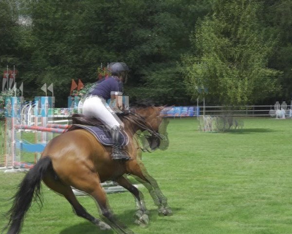 Reitturnier Kappelen-Lyss 2020