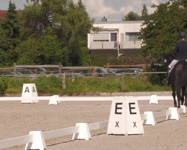 Reitturnier Weilheim/Teck 2020