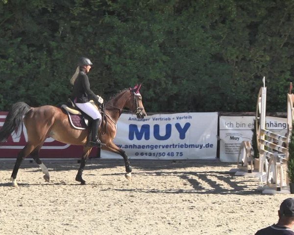 Reitturnier Worms-Pfeddersheim / Reitsportanlage Wittemer 2020