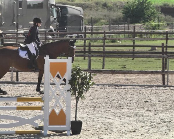 Reitturnier Worms-Pfeddersheim / Reitsportanlage Wittemer 2020