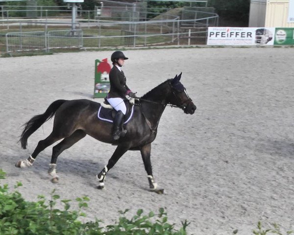 Reitturnier Worms-Pfeddersheim / Reitsportanlage Wittemer 2020