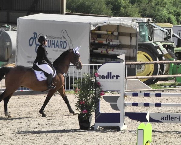 Reitturnier Worms-Pfeddersheim / Reitsportanlage Wittemer 2020