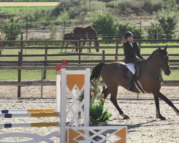 Reitturnier Worms-Pfeddersheim / Reitsportanlage Wittemer 2020