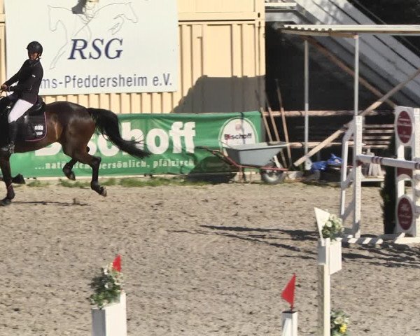 Reitturnier Worms-Pfeddersheim / Reitsportanlage Wittemer 2020