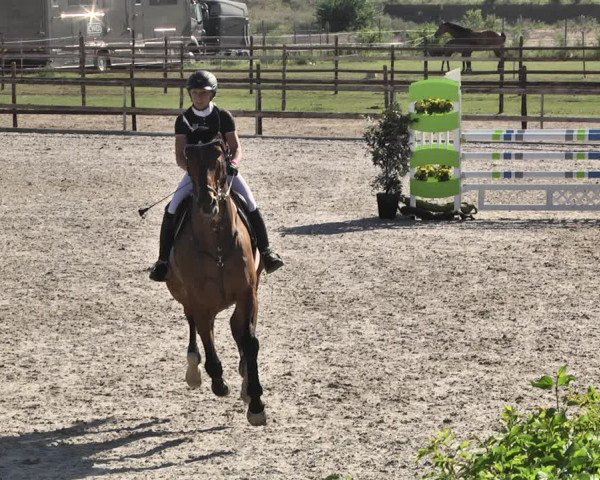 Reitturnier Worms-Pfeddersheim / Reitsportanlage Wittemer 2020