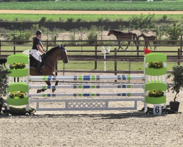 Reitturnier Worms-Pfeddersheim / Reitsportanlage Wittemer 2020
