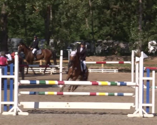 Reitturnier Kleinostheim/Ufr. 2020