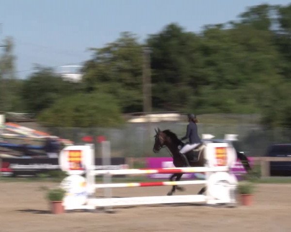 Reitturnier Kleinostheim/Ufr. 2020