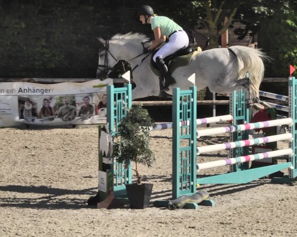 Reitturnier Worms-Pfeddersheim / Reitsportanlage Wittemer 2020
