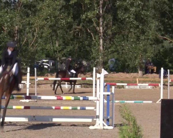 Reitturnier Kleinostheim/Ufr. 2020