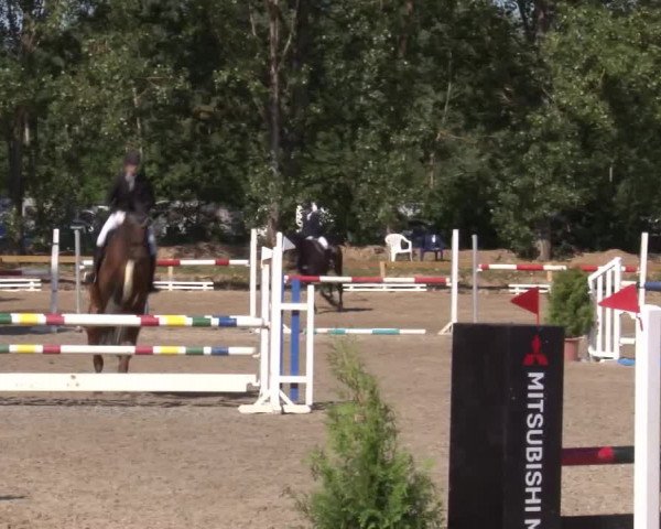 Reitturnier Kleinostheim/Ufr. 2020