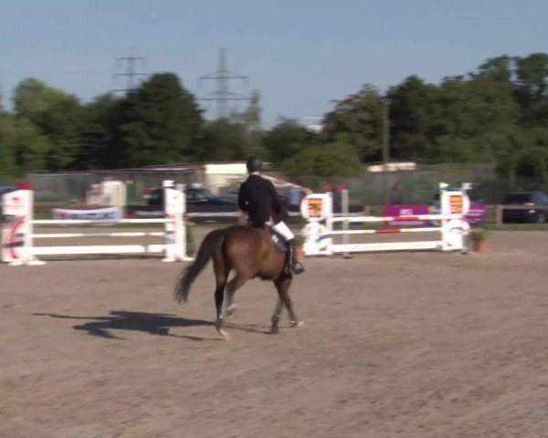 Reitturnier Kleinostheim/Ufr. 2020