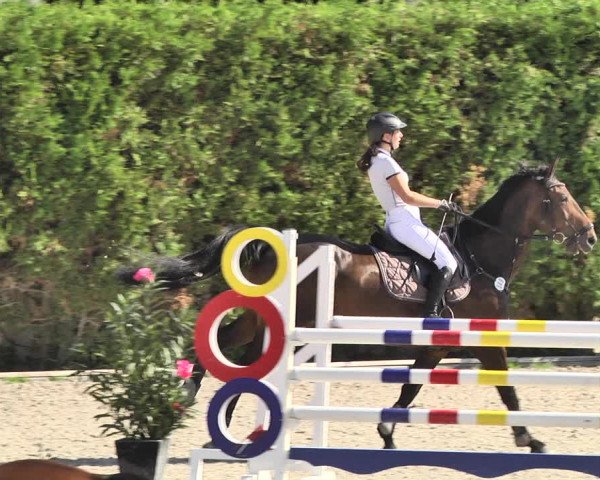 Reitturnier Worms-Pfeddersheim / Reitsportanlage Wittemer 2020