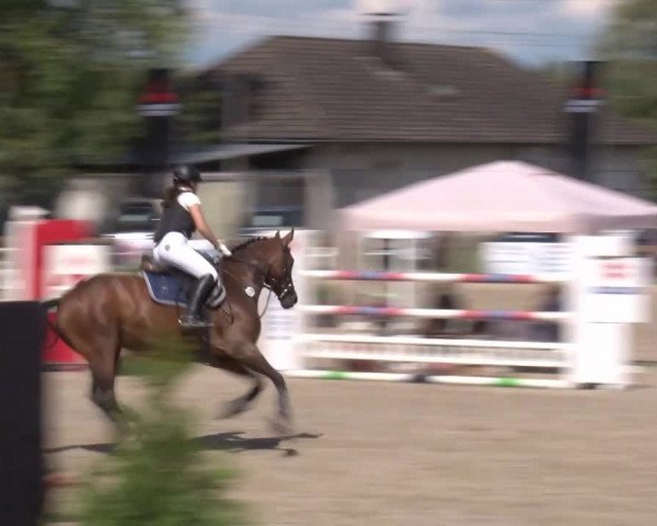 Reitturnier Kleinostheim/Ufr. 2020