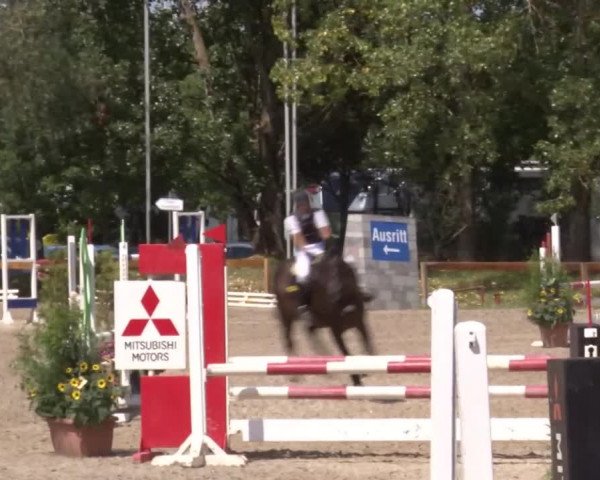 Reitturnier Kleinostheim/Ufr. 2020